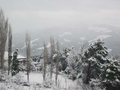 Adana Kozan Şerifli Köyü Resimleri 14