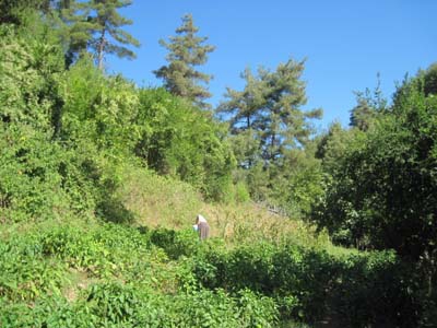 Adana Kozan Şerifli Köyü Resimleri 18