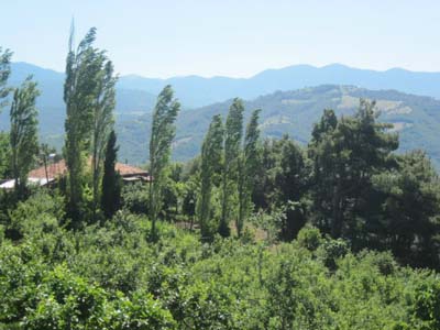 Adana Kozan Şerifli Köyü Resimleri 22