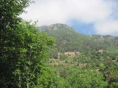 Adana Kozan Şerifli Köyü Resimleri 26