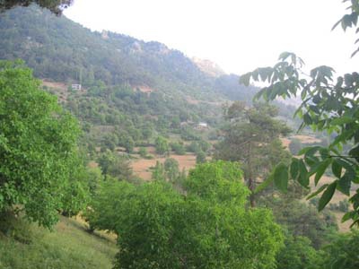 Adana Kozan Şerifli Köyü Resimleri 27