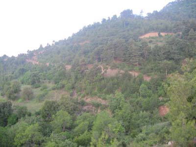 Adana Kozan Şerifli Köyü Resimleri 30