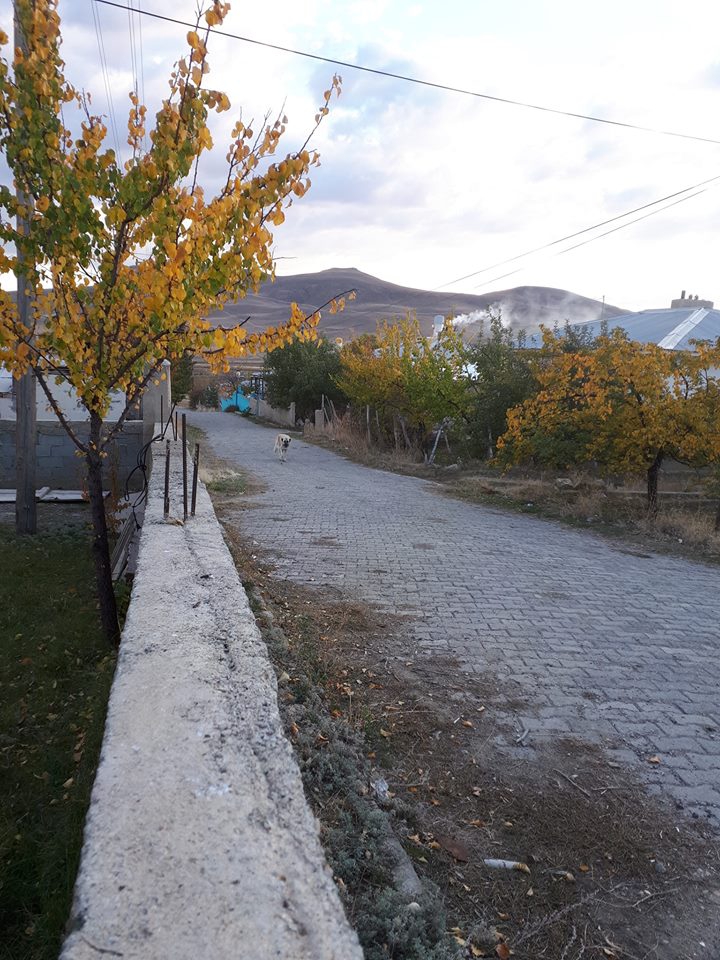 Çayırlı Bozağa Köyü Resimleri 1