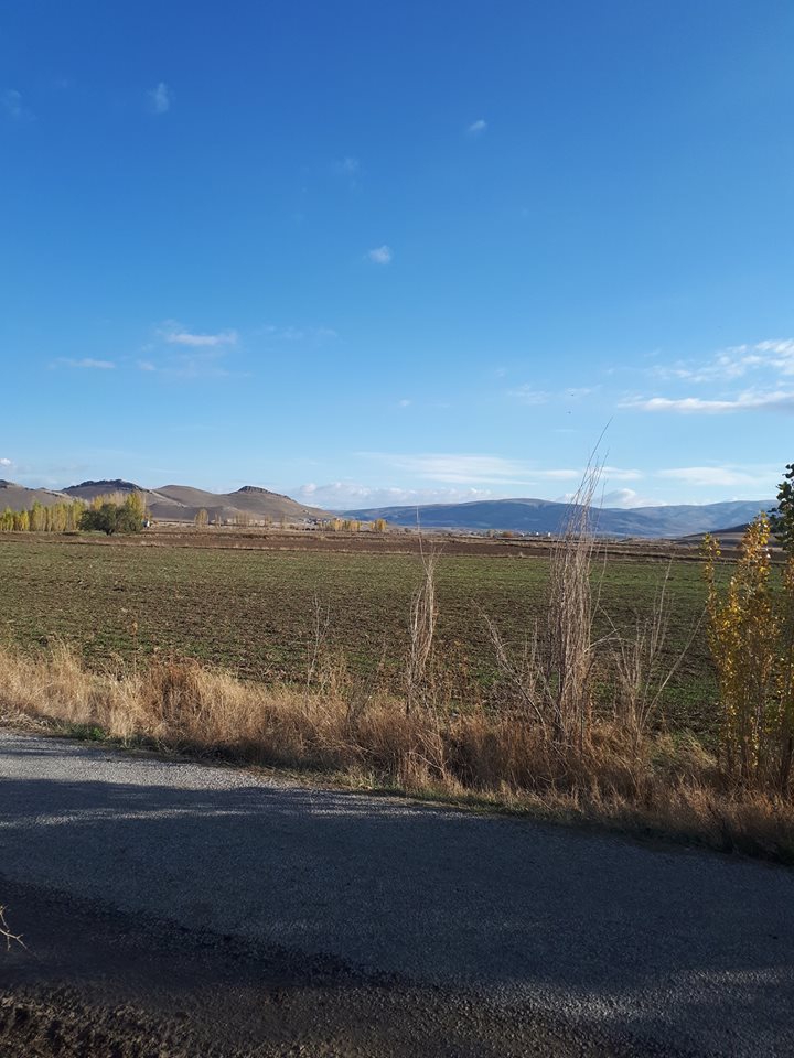 Çayırlı Bozağa Köyü Resimleri 14