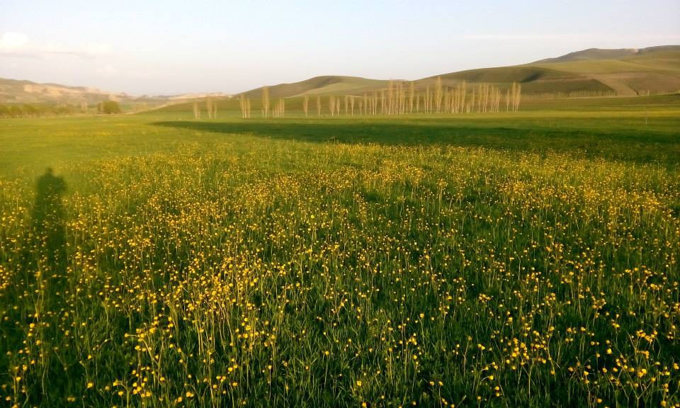 Çayırlı Bozağa Köyü Resimleri 3
