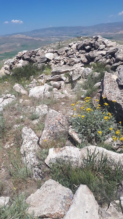 Çayırlı Bozağa Köyü Resimleri 9