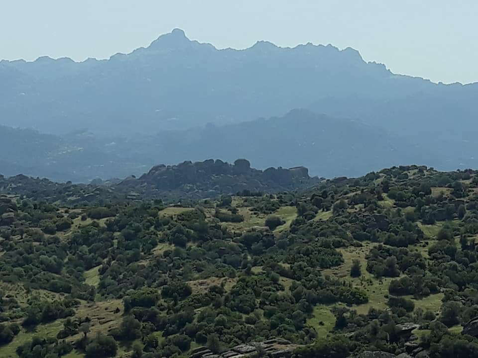 Söke Sayrakçı Köyü Resimleri 2