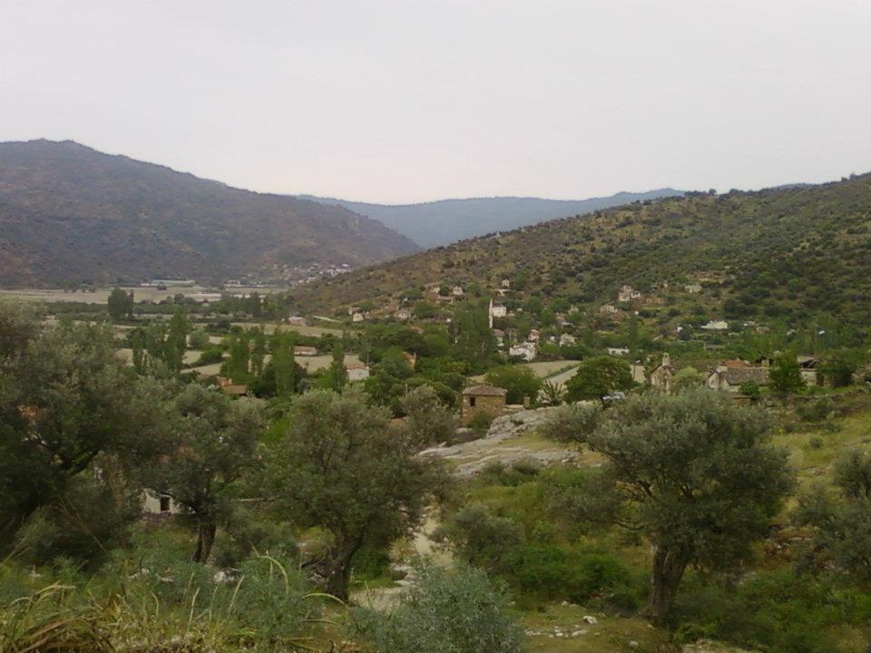 Söke Sayrakçı Köyü Resimleri 9