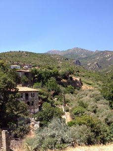 Söke Tuzburgazı Köyü Resimleri 3