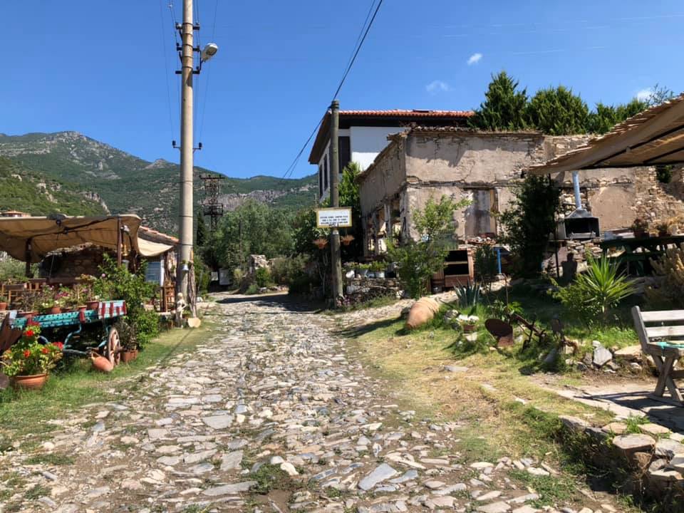 Söke Tuzburgazı Köyü Resimleri 5