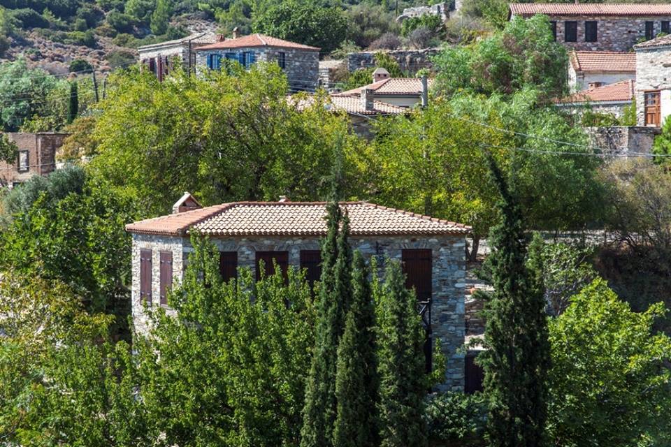 Söke Yeniköy Köyü Resimleri 4