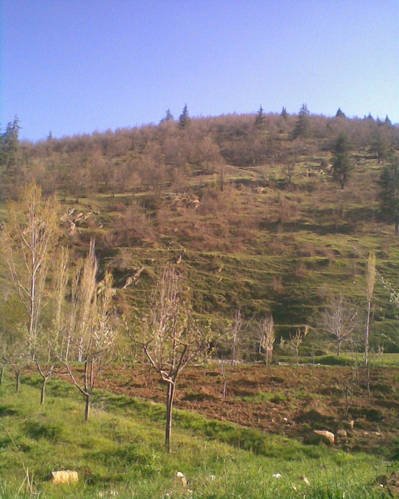 Göksun Esenköy  Köyü Resimleri 2