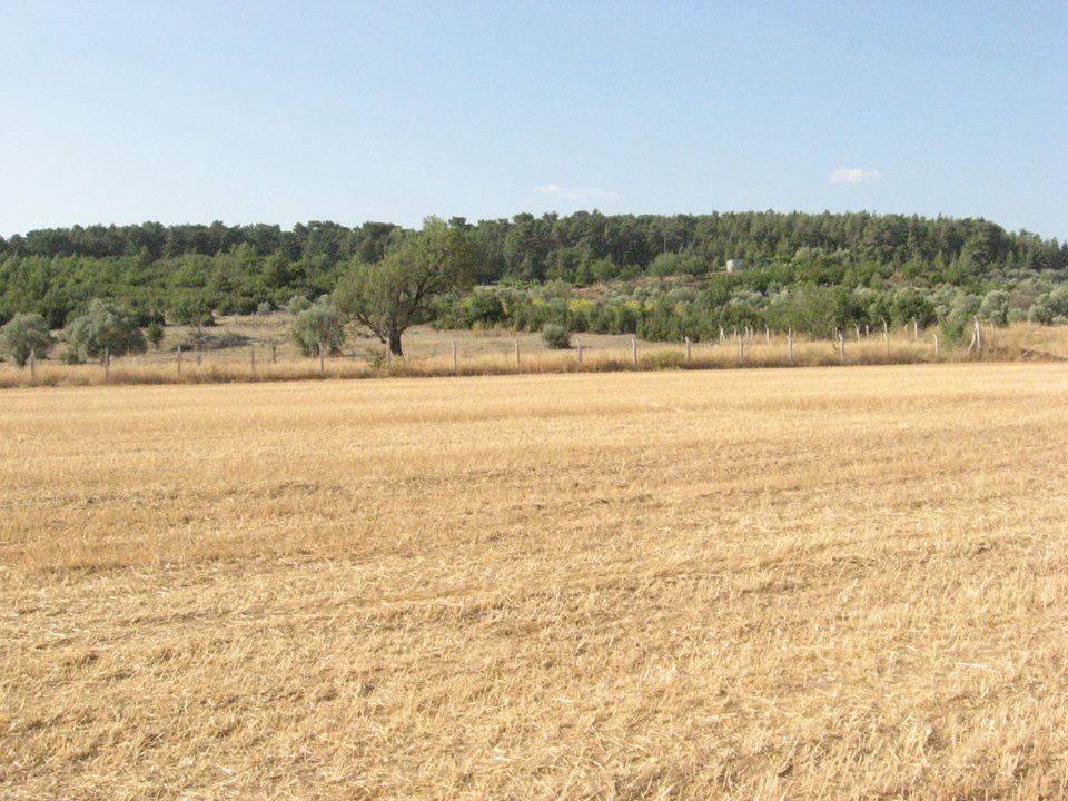 Yatağan Akgedik Köyü Resimleri 12