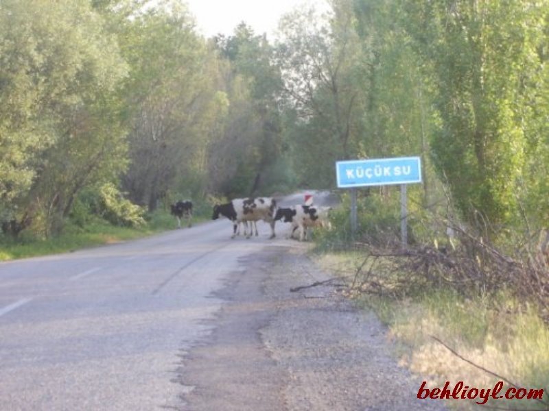 Göksun Gücüksu  Köyü Resimleri 10