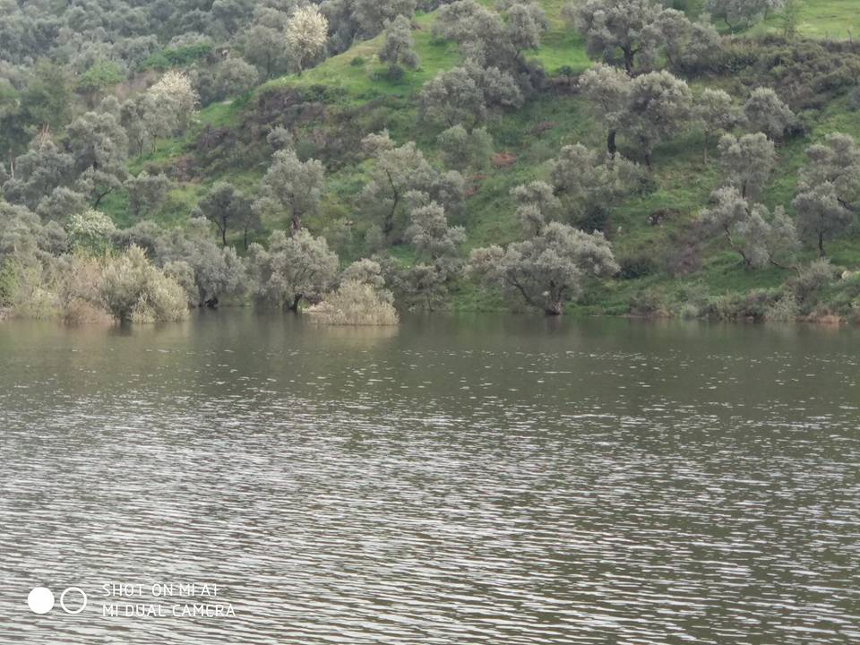 Sultanhisar Güvendik Köyü Resimleri 1