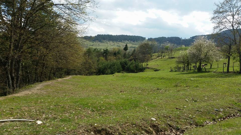 Devrek Adatepe Köyü Resimleri 11