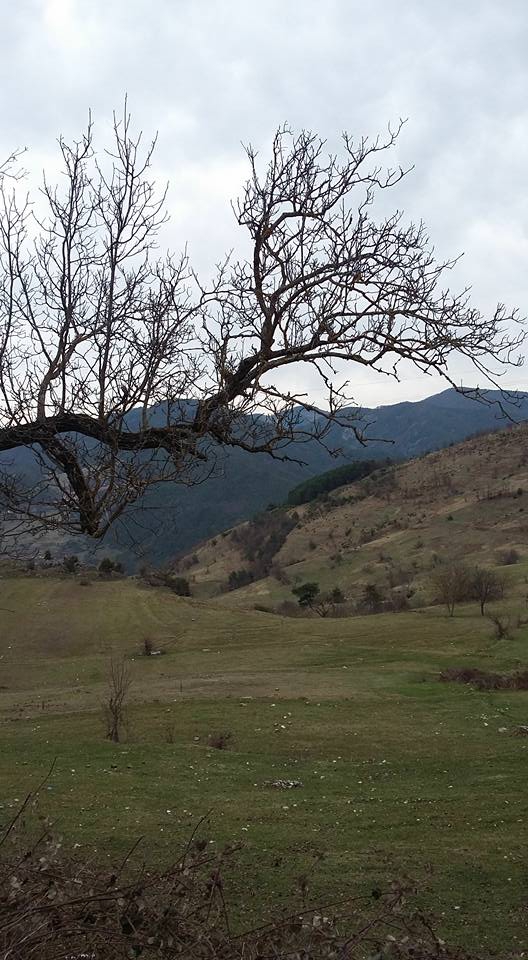 Devrek Adatepe Köyü Resimleri 19