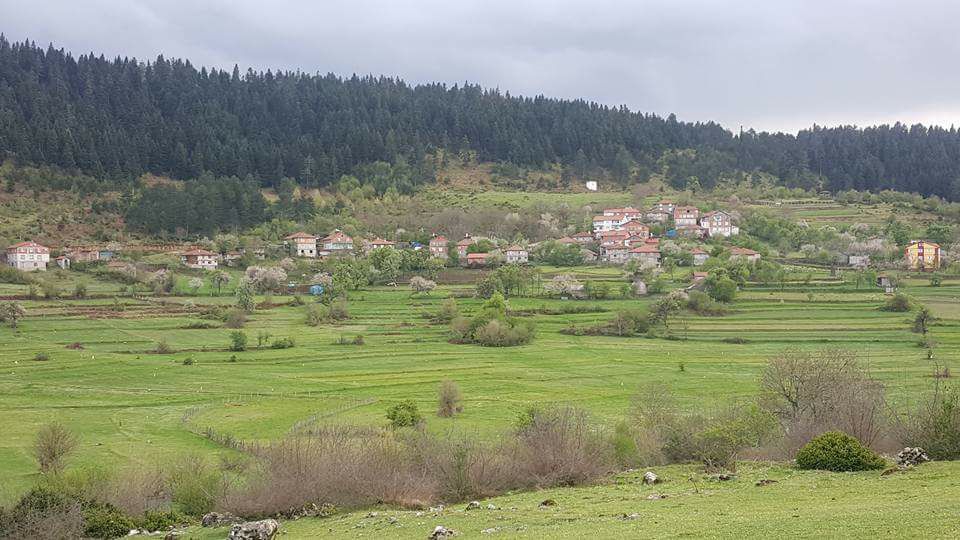 Devrek Adatepe Köyü Resimleri 20
