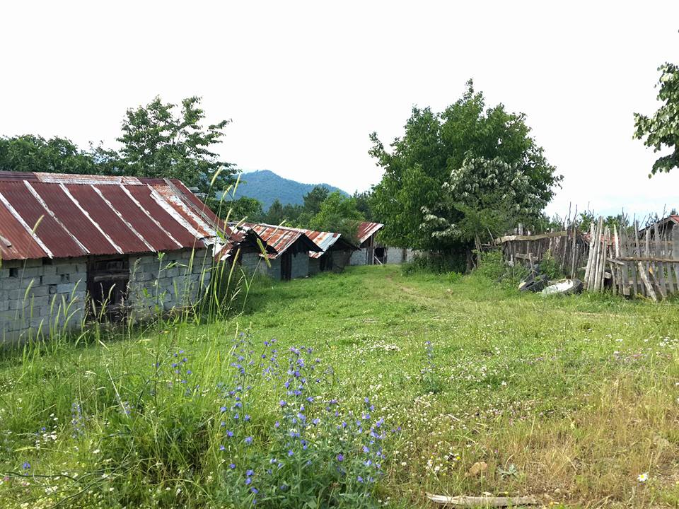 Devrek Adatepe Köyü Resimleri 24