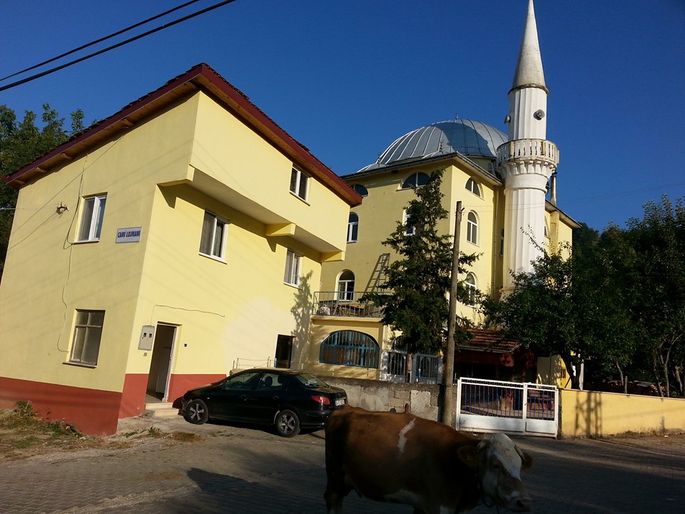 Devrek Adatepe Köyü Resimleri 28