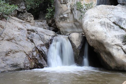 Sultanhisar Malgaçemir Köyü Resimleri 4