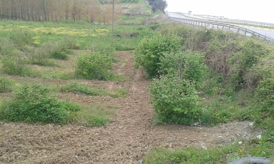 Ereğli Akkaya Köyü Resimleri 12