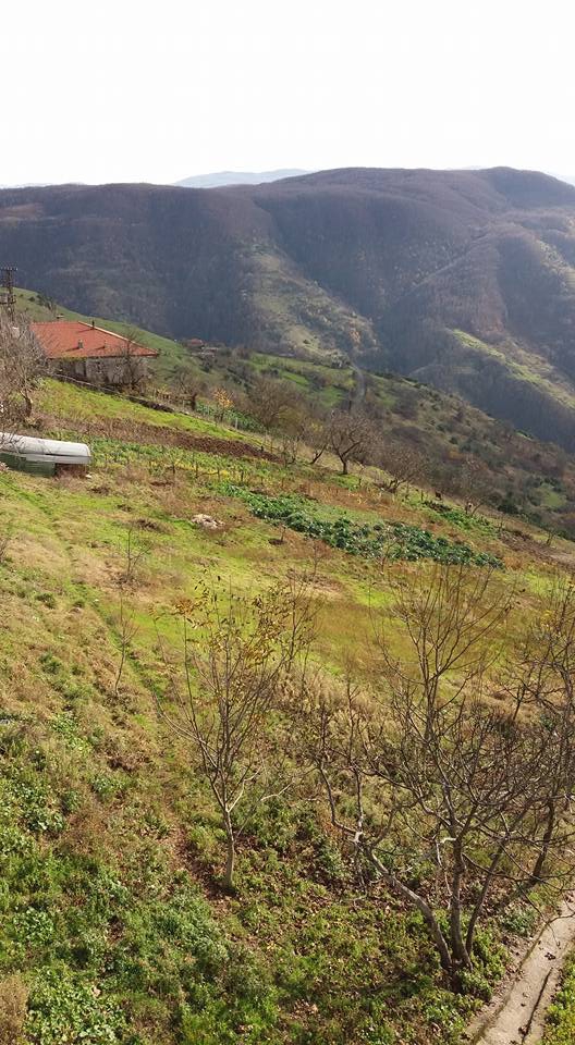 Ereğli Akkaya Köyü Resimleri 6