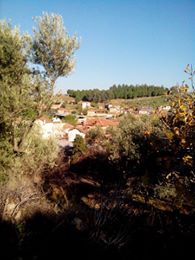 Yenipazar Dereköy Köyü Resimleri 5