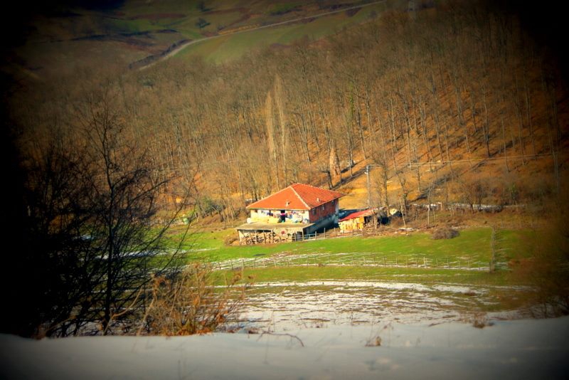 Gökçebey Aktarla Köyü Resimleri 6