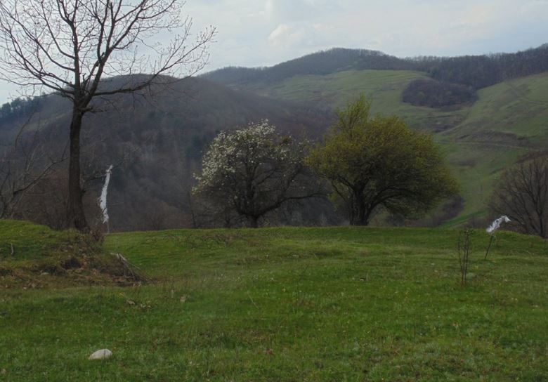 Gökçebey Aktarla Köyü Resimleri 7