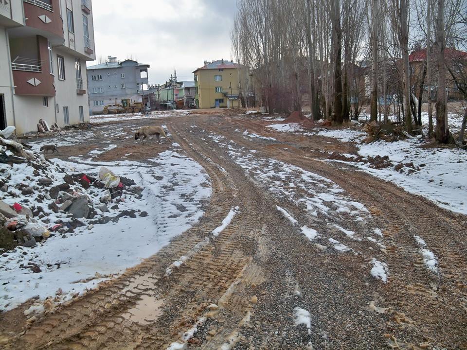 Göksun Harbiye Köyü Resimleri 6