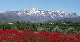 Göksun Kamışcık Köyü Resimleri 11