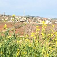 Yenipazar Karacaören Köyü Resimleri 1