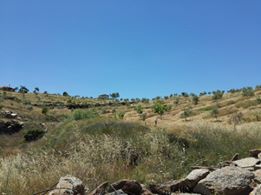 Yenipazar Karaçakal Köyü Resimleri 1