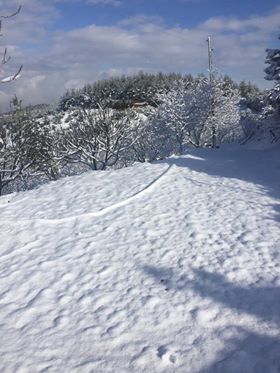 Yenipazar Karaçakal Köyü Resimleri 3