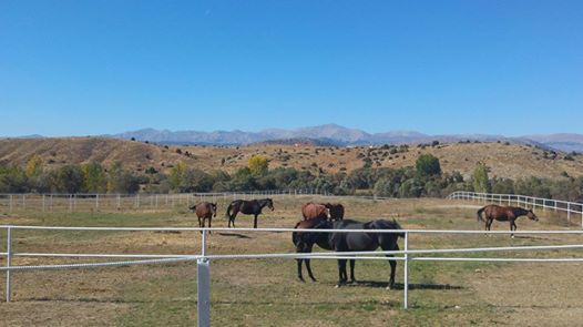 Göksun Karaahmet Köyü Resimleri 10