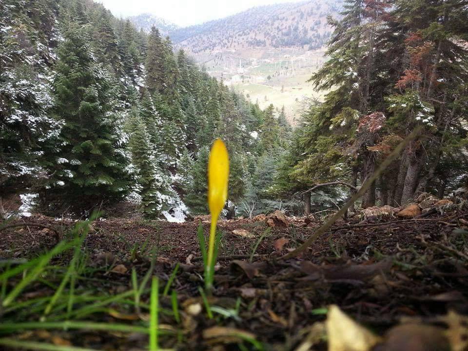 Göksun Kavşut Köyü Resimleri 8