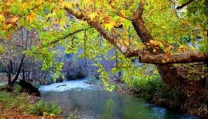 Göksun Kayabaşı Köyü Resimleri 11