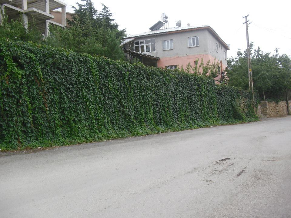 Göksun Kayabaşı Köyü Resimleri 2