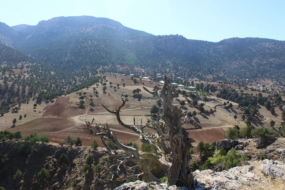 Göksun Kazandere Köyü Resimleri 4