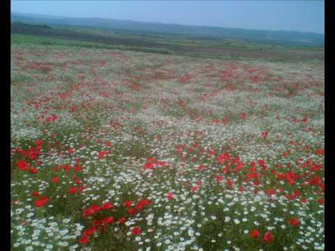 Göksun Korkmaz Köyü Resimleri 5