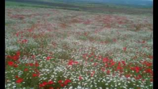 Göksun Korkmaz Köyü Resimleri 6