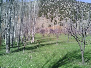 Göksun Kömürköy Köyü Resimleri 3