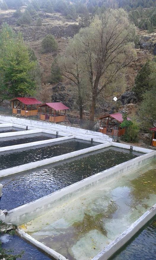 Göksun Kömürköy Köyü Resimleri 7