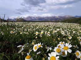 Göksun Mehmetbey Köyü  Resimleri 10