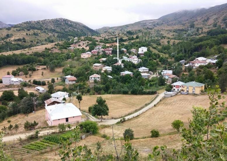 Doğanşar Yavşancık Köyü Resimleri 16