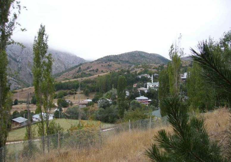 Doğanşar Yavşancık Köyü Resimleri 17