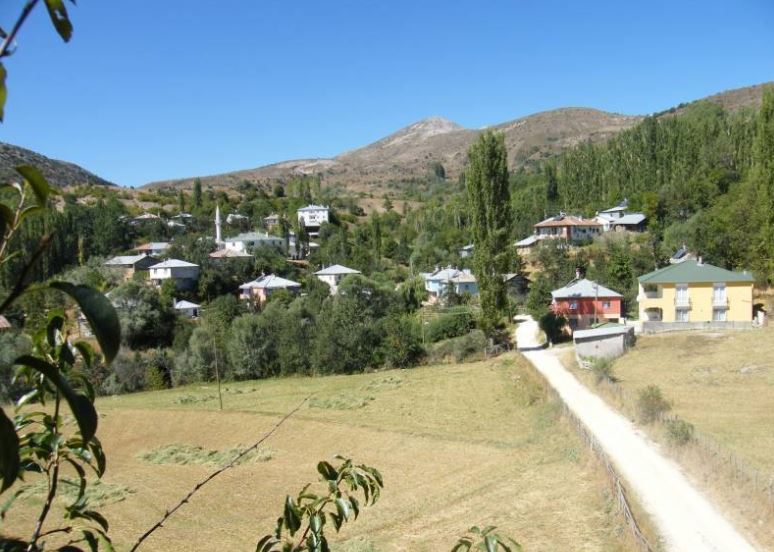 Doğanşar Yavşancık Köyü Resimleri 18