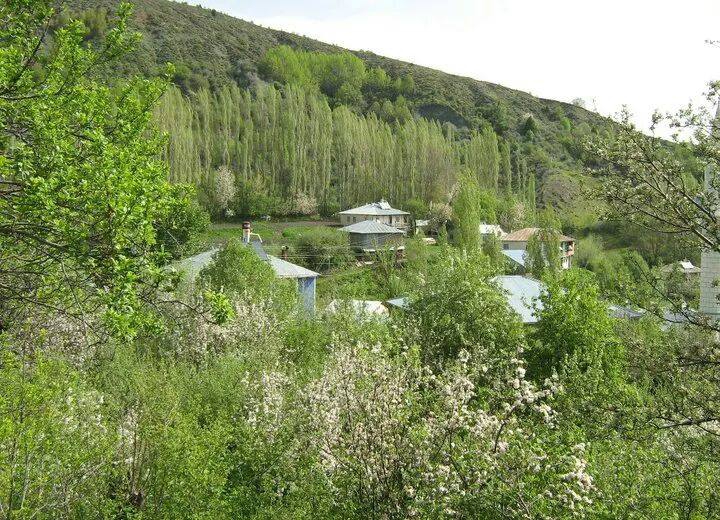 Doğanşar Yavşancık Köyü Resimleri 23