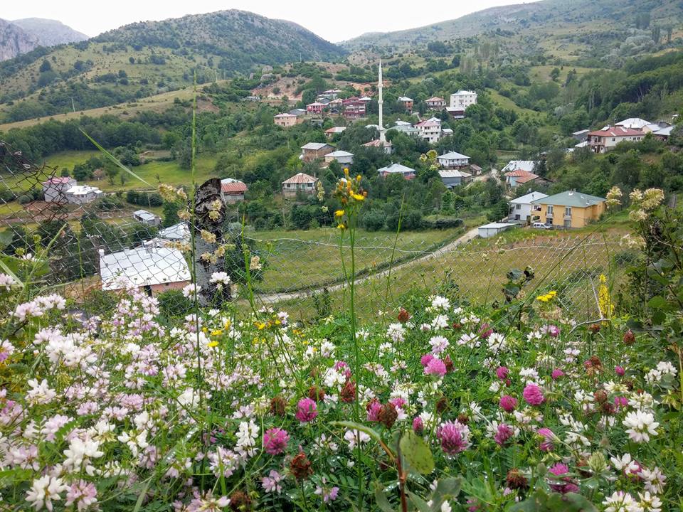 Doğanşar Yavşancık Köyü Resimleri 24